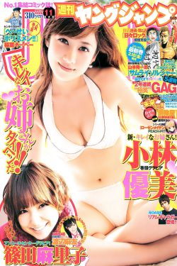 绿野仙踪