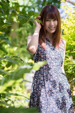 雏菊2